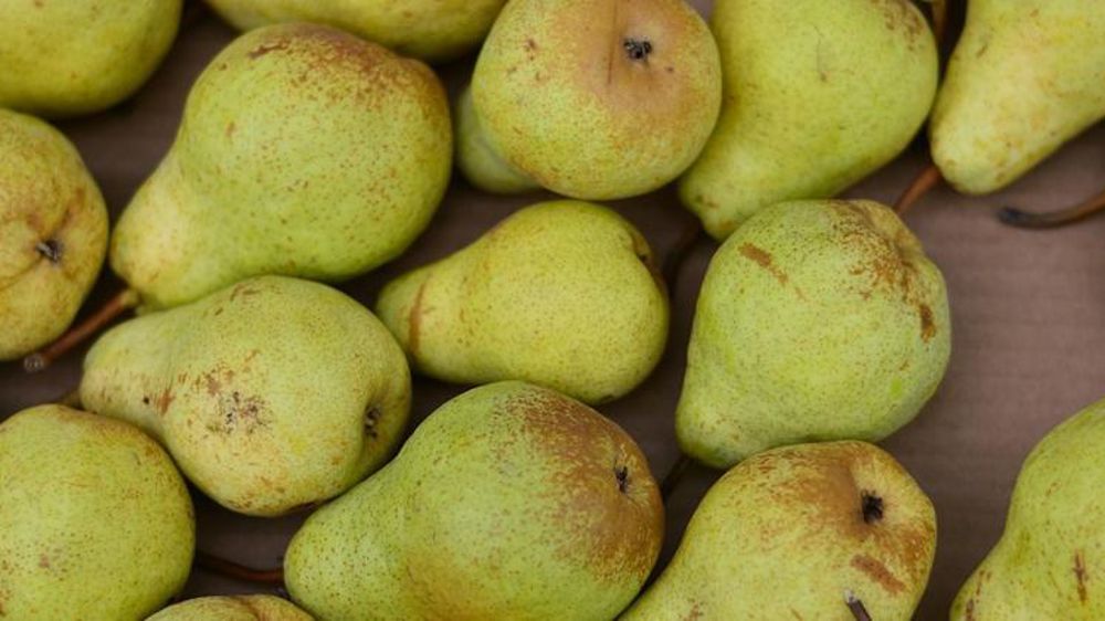 © congerdesign/Pixabay